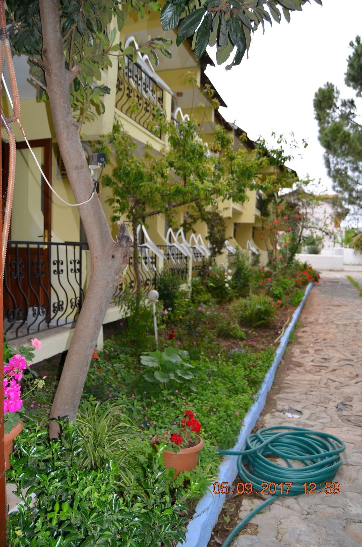 Dalyan Patio Hotel Eksteriør bilde